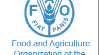 Food and Agriculture Organization (FAO)