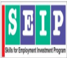 Skills for Employment Investment Program (SEIP)